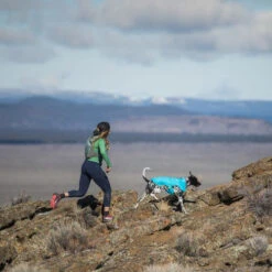 Ruffwear Wind Sprinter Jacket -Huisdierbenodigdheden ruffwear wind sprinter jacket 124694 0500 none