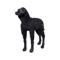 RukkaPets Protect Overall Zwart -Huisdierbenodigdheden rukkapets protect overall zwart 216397 2000 none