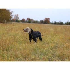 RukkaPets Protect Overall Zwart -Huisdierbenodigdheden rukkapets protect overall zwart 216401 2000 none