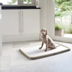 Savic Puppy Trainer + Pads 32 Savic Puppy Trainer + Pads -Huisdierbenodigdheden savic puppy trainer pads 163498 2000 none