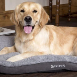 Boneguard Rawhide Bones -Huisdierbenodigdheden scruffs cosy mattress 209363 1500 none