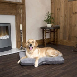 Boneguard Rawhide Bones -Huisdierbenodigdheden scruffs cosy mattress 209366 1500 none