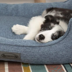 Boneguard Rawhide Bones -Huisdierbenodigdheden scruffs manhattan box bed 209510 1500 none