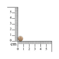 Sensipharm Sneeze Aid Kat 8 Sensipharm Sneeze Aid Kat -Huisdierbenodigdheden sensipharm sneeze aid kat 174685 1000 none