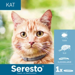 Seresto Kat -Huisdierbenodigdheden seresto kat 182296 1000 none