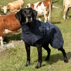 Siccaro WetDog SupremePro 2.0 -Huisdierbenodigdheden siccaro wetdog supremepro 190159 1000 none