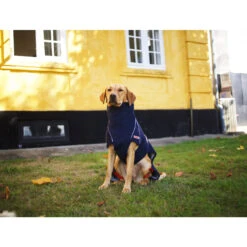 Siccaro WetDog SupremePro 2.0 -Huisdierbenodigdheden siccaro wetdog supremepro 20 216994 2000 none