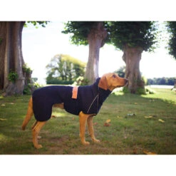 Siccaro WetDog SupremePro 2.0 -Huisdierbenodigdheden siccaro wetdog supremepro 20 216995 2000 none