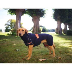 Siccaro WetDog SupremePro 2.0 -Huisdierbenodigdheden siccaro wetdog supremepro 20 216996 2000 none