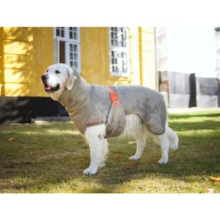 Siccaro WetDog SupremePro 2.0 -Huisdierbenodigdheden siccaro wetdog supremepro 20 216997 2000 none