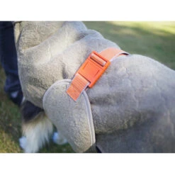 Siccaro WetDog SupremePro 2.0 -Huisdierbenodigdheden siccaro wetdog supremepro 20 216999 2000 none