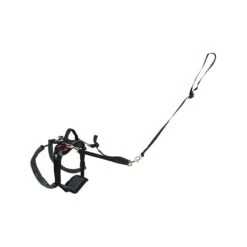 PetSafe Carelift - Draagsysteem Voor De Hond -Huisdierbenodigdheden solvit carelift achterhand small rood 100073 1000 none