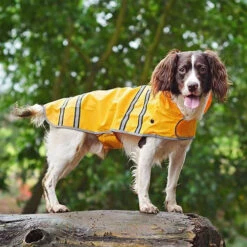 Sötnos Hondenregenjas 8 Sötnos Hondenregenjas -Huisdierbenodigdheden stnos hondenregenjas 130475 0500 none