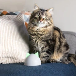 Sureflap Sure Petcare Hub -Huisdierbenodigdheden sure petcare hub 219855 2000 none