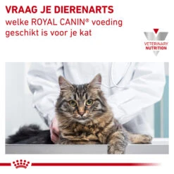 Royal Canin Urinary S/O Moderate Calorie Kat -Huisdierbenodigdheden swPbfIxA2XGSsE3h1xzY6wtyiY4MxL metacm95YWxfY2FuaW5fdXJpbmFyeV9zb19tb2RlcmF0ZV9jYWxvcmllX2thdF8xNTM1ODlfMTAwMF9ub25lLmpwZw