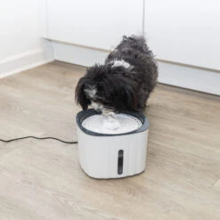 Trixie Drinkfontein Bloem 14 Trixie Drinkfontein Bloem -Huisdierbenodigdheden trixie drinkfontein bloem 205304 1500 none