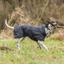 Trixie Hondenjas Calvi -Huisdierbenodigdheden trixie hondenjas calvi 207467 1000 none