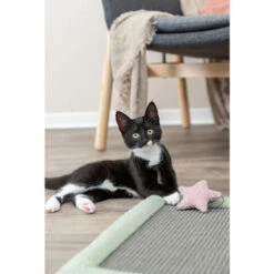 Trixie Junior Krabmat -Huisdierbenodigdheden trixie junior krabmat 221246 0500 none