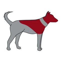 Trixie Opblaasbare Beschermkraag -Huisdierbenodigdheden trixie opblaasbare beschermkraag 101866 0500 none