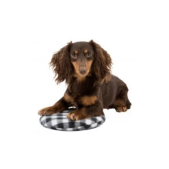 Trixie Warmtekussen -Huisdierbenodigdheden trixie warmtekussen 145868 1000 none