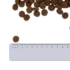 Vetality Hypoallergenic - Hondenvoer 19 Vetality Hypoallergenic - Hondenvoer -Huisdierbenodigdheden vetality hypoallergenic hondenvoer 182338 2000 none