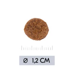 Vetality Hypoallergenic - Hondenvoer 17 Vetality Hypoallergenic - Hondenvoer -Huisdierbenodigdheden vetality hypoallergenic hondenvoer 195473 1000 none