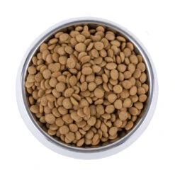 Vetality Skin Support - Hondenvoer -Huisdierbenodigdheden vetality skin support hondenvoer 195221 1000 none