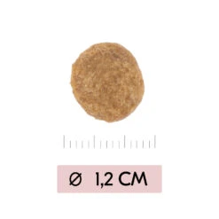 Vetality Skin Support - Hondenvoer -Huisdierbenodigdheden vetality skin support hondenvoer 195452 1000 none