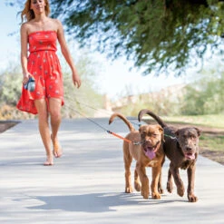 Wigzi Dual Doggie 2.0 -Huisdierbenodigdheden wigzi dual doggie 20 167836 1500 none