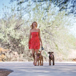 Wigzi Dual Doggie 2.0 -Huisdierbenodigdheden wigzi dual doggie 20 167839 1500 none