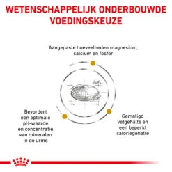 Royal Canin Urinary S/O Moderate Calorie Kat -Huisdierbenodigdheden wkq5tOf7itu7AKk3vEJZwKkT3xC5PT metacm95YWxfY2FuaW5fdXJpbmFyeV9zb19tb2RlcmF0ZV9jYWxvcmllX2thdF8xNTM3OTZfMTAwMF9ub25lLmpwZw