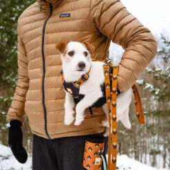 Woolly Wolf Sea To Summit Hondenriem -Huisdierbenodigdheden woolly wolf sea to summit hondenriem 194831 1000 none