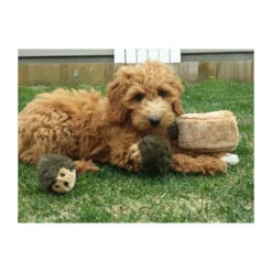 ZippyPaws Zippy Burrow Hedgehog Den -Huisdierbenodigdheden zippypaws zippy burrow hedgehog den 221069 0500 none